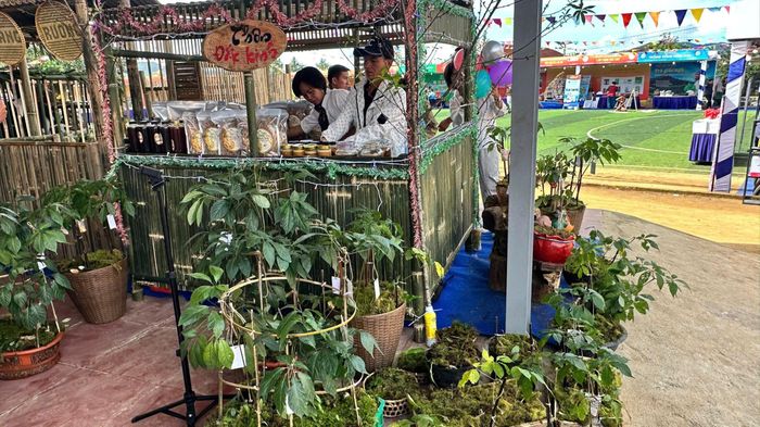 Gian hàng trưng bày sâm và các sản phẩm địa phương
