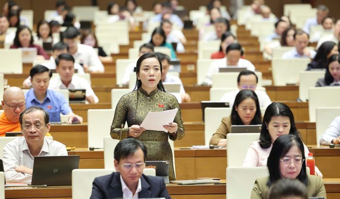  Đại biểu Triệu Thị Ngọc Diễm (TP Cần Thơ) 