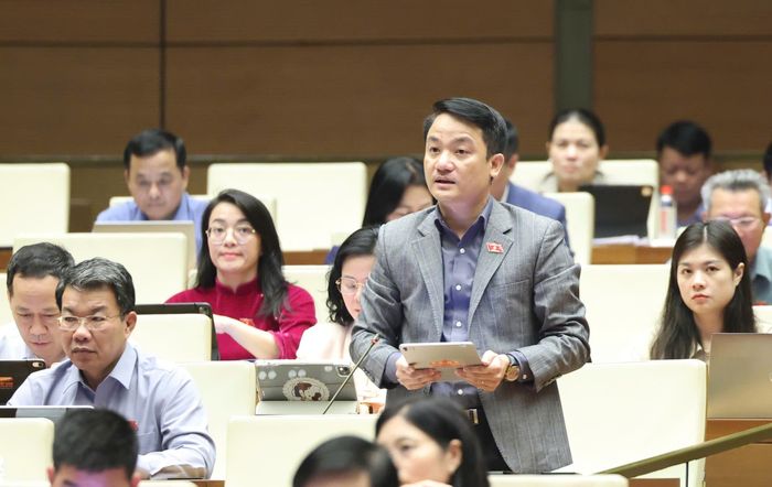  ĐB Lê Văn Thế (Ninh Bình). Ảnh: QUANG PHÚC 