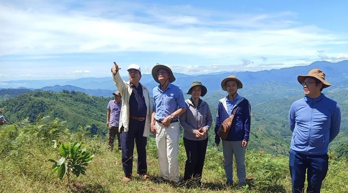  Các chuyên gia, nhà khoa học khảo sát tiềm năng kinh tế từ dược liệu tại núi Cà Đam, Quảng Ngãi. Ảnh: XUÂN HUYÊN 
