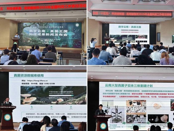Hội thảo của Viện Hàn lâm Khoa học Trung Quốc công bố những nghiên cứu ban đầu về nấm D.rex