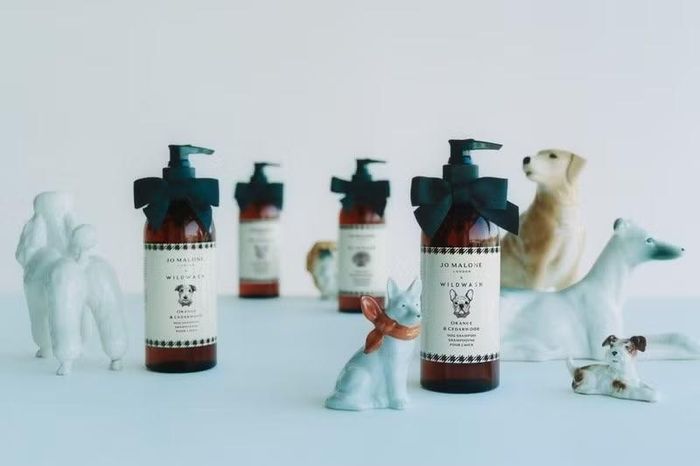 Jo Malone London đã hợp tác cùng chuyên gia WildWash từ Anh để cho ra mắt dòng dầu gội cho thú cưng. (Ảnh: Jo Malone London x WildWash)