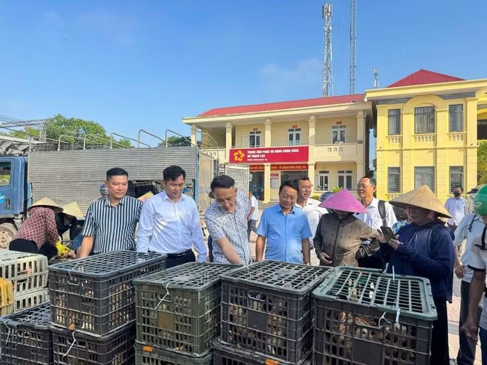 Xã Thạch Lạc hỗ trợ gà giống cho người dân. (Ảnh TT Thạch Lạc)