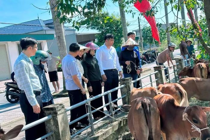 UBMTTQ Hà Tĩnh cùng chính quyền địa phương trao bò giống cho các hộ nghèo, cận nghèo tại xã Thạch Lạc. (Ảnh TT Thạch Lạc)