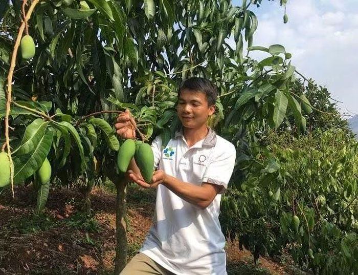 Nhờ chương trình nông thôn mới, người dân đã trồng cây ăn quả trên đất dốc phát triển kinh tế.