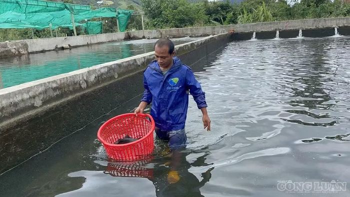 Chính quyền xã Đăk Rong đang xây dựng phương án mở rộng sản xuất
