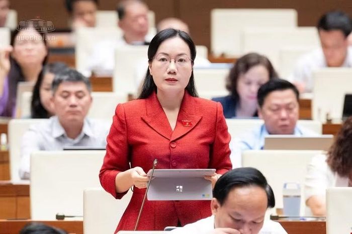 Đại biểu Đỗ Thị Việt Hà phát biểu. Ảnh QH.
