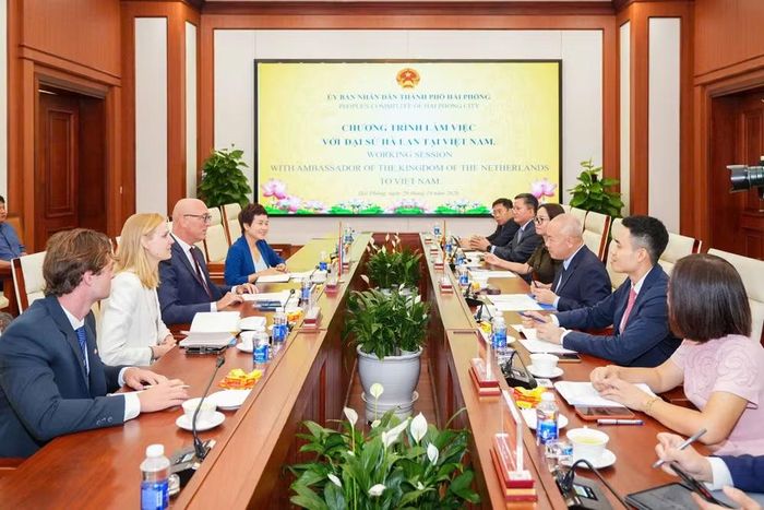 Đồng chí Đỗ Thành Trung, Chủ tịch UBND thành phố tiếp và làm việc với Ngài Remco van Wijngaarden, Đại sứ Hà Lan tại Việt Nam. Ảnh: CTTĐTHP