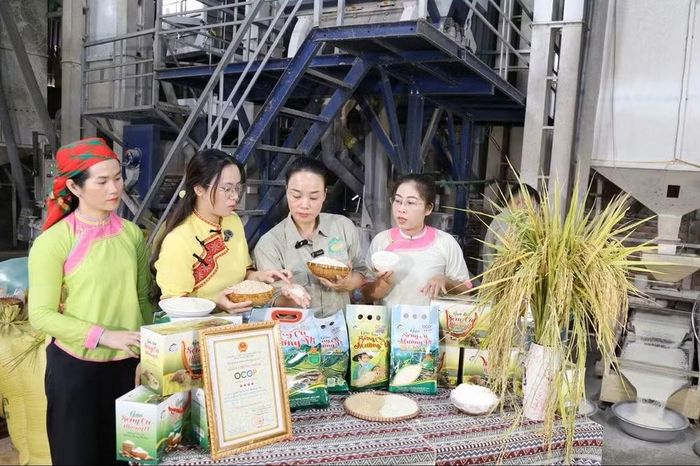 Các cơ sở sản xuất, kinh doanh trong lĩnh vực nông nghiệp góp phần giải quyết việc làm cho người lao động. Ảnh: Báo Lào Cai.