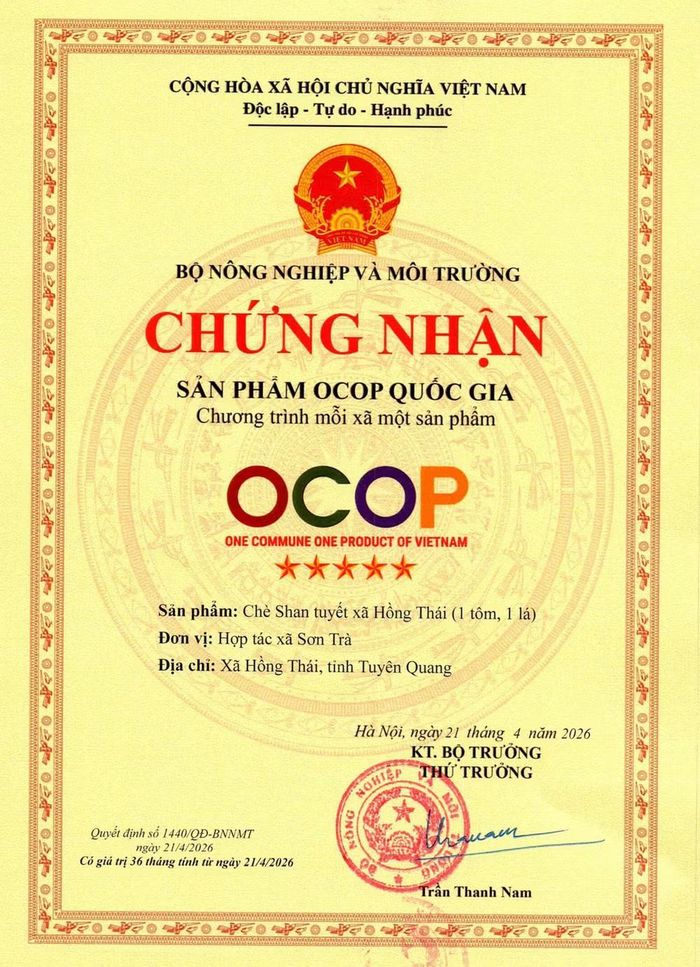 Chè Shan tuyết Hồng Thái đạt OCOP quốc gia 5 sao.