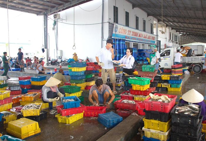Cà Mau khuyến khích chuyển đổi sinh kế, phát triển nghề cá theo hướng bền vững (Ảnh: T.N).