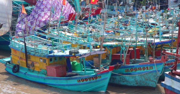 Tàu cá được kiểm soát chặt chẽ điều kiện hoạt động trước khi vươn khơi (Ảnh: C.Đ).