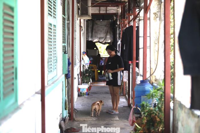Bà Nguyễn Thị Thanh Tâm (cư dân lâu năm tại chung cư Vĩnh Hội), cho biết người dân đồng tình di dời nhưng mong sớm có phương án bồi thường, hỗ trợ và bố trí nơi ở phù hợp,. Mỗi hộ có nguyện vọng riêng, người muốn nhận nhà tái định cư, người muốn nhận tiền về quê tự lo nơi ở mới. Riêng gia đình bà mong được đổi căn hộ lấy căn hộ, ưu tiên nơi ở gần khu vực hiện tại.