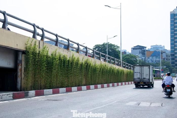 Mới đây, Sở Xây dựng Hà Nội đã ban hành phương án thí điểm giải pháp thiết kế trồng, cải tạo và bổ sung mảng xanh tại một số công trình hạ tầng kỹ thuật đô thị trọng điểm trên địa bàn. Cụ thể, các vị trí thực hiện đợt này bao gồm: 3 trụ đường sắt trên cao trên đường Nguyễn Trãi (đoạn trước Royal City); hầm chui Lê Văn Lương - Tố Hữu; cầu vượt Lê Văn Lương - Láng Hạ và 3 nhà chờ xe buýt tại các tuyến đường Lê Thánh Tông, Trần Phú và số 69 Lý Thường Kiệt.
