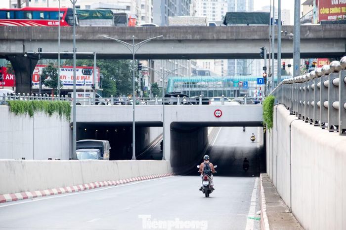 Giai đoạn đầu, chiều dài phần cây rủ được khống chế khoảng 2-3 m và cắt tỉa định kỳ, bảo đảm không cản trở xe lưu thông, che khuất biển báo, hệ thống chiếu sáng hoặc thiết bị kỹ thuật.