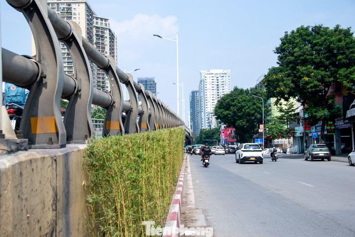 Ghi nhận của Tiền Phong tại khu vực cầu vượt Lê Văn Lương – Láng Hạ, công tác cải tạo và bổ sung mảng xanh đã hoàn tất.