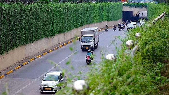 Việc thí điểm phủ xanh các công trình giao thông được triển khai trong bối cảnh Hà Nội mới ban hành Đề án quản lý, phát triển hệ thống cây xanh, công viên, vườn hoa, mặt nước. Một trong những giải pháp của đề án là bổ sung cây xanh tại các công trình giao thông, kiến trúc và đường phố.