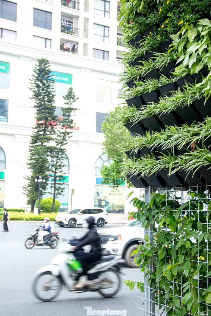 Theo Sở Xây dựng Hà Nội, những giàn thép được ôm quanh thân trụ, không khoan, đục vào kết cấu công trình. Giàn được đặt cách bề mặt bê tông một khoảng phù hợp để cây sinh trưởng và thuận tiện kiểm tra trụ cầu.