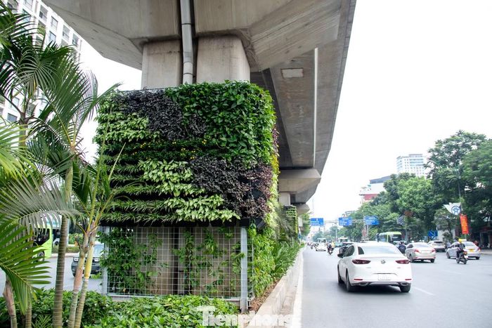 Ba trụ cầu đường sắt đô thị trên đường Nguyễn Trãi cũng vừa được thí điểm phủ xanh bằng cây leo.