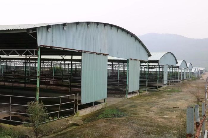 Tài sản đưa ra đấu giá gồm hệ thống chuồng trại, máy móc, thiết bị phục vụ sản xuất, nhà làm việc.