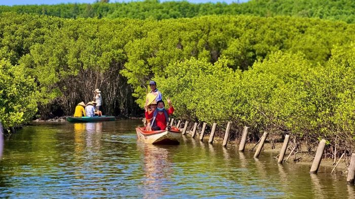 Diện tích rừng lớn tạo điều kiện để Quảng Ngãi nghiên cứu, triển khai các dự án tín chỉ carbon rừng.