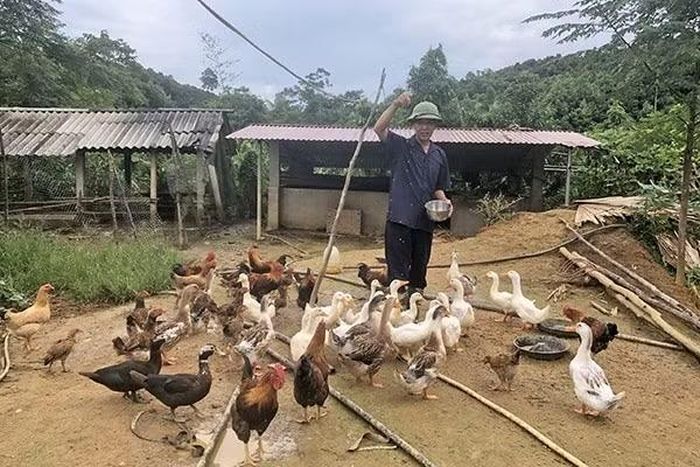 Nhờ nguồn vốn ưu đãi, gia đình ông Hoàng Công Lệnh đã thoát nghèo, vươn lên phát triển kinh tế với mô hình kinh tế mới.
