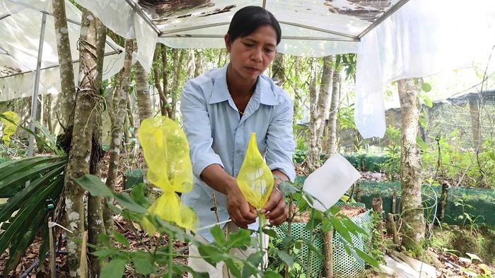 Hoạt động khai thác thủy sản góp phần phát triển kinh tế biển, nâng cao giá trị sản xuất ngành nông nghiệp Quảng Ngãi.