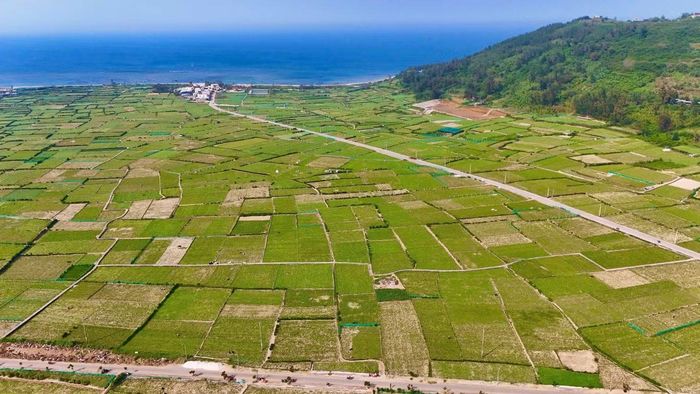 Quảng Ngãi đẩy mạnh ứng dụng khoa học, công nghệ và chuyển đổi số, hướng đến phát triển nền nông nghiệp thông minh, xanh và bền vững.