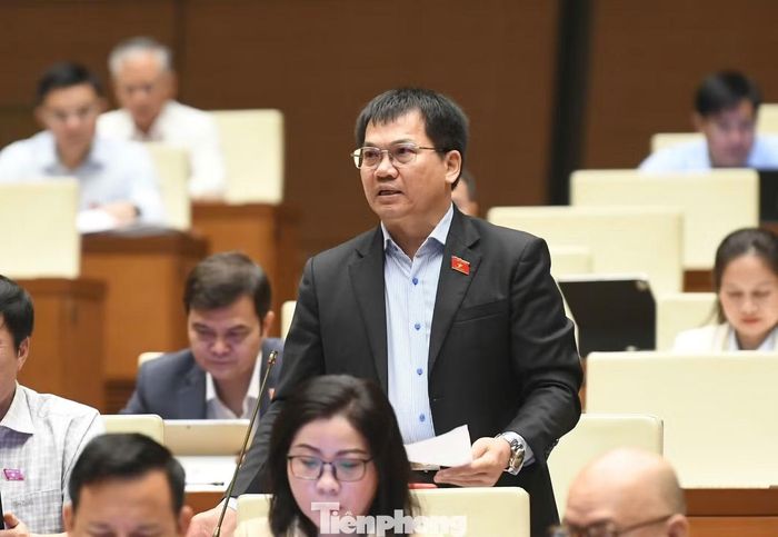  Đại biểu Dương Khắc Mai. (Ảnh: Như Ý) 