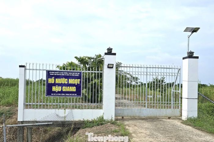 Hồ nước ngọt Hậu Giang đặt tại xã Vĩnh Tường, TP. Cần Thơ.