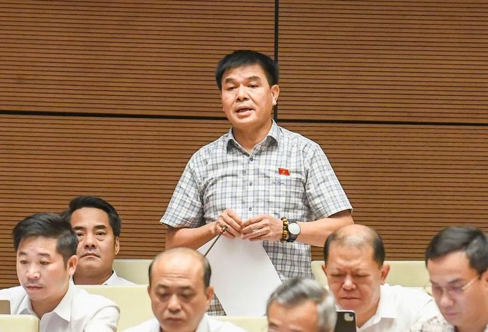  Đại biểu Nguyễn Hữu Toàn. (Ảnh: Như Ý) 