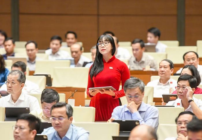  Đại biểu Trịnh Thị Tú Anh. (Ảnh: Như Ý) 
