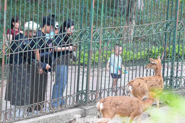 Đề án đề xuất chuyển từ mô hình "xem thú trong lồng" sang sinh cảnh bán tự nhiên. Rào sắt sẽ được thay bằng rào chìm, hào sinh thái và vách kính chịu lực. Khu nuôi dưỡng, bảo tồn động vật cũng được nâng cấp.