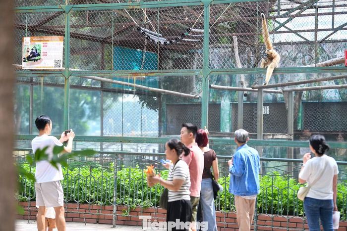 UBND phường Giảng Võ đang lấy ý kiến người dân về phương án điều chỉnh quy hoạch chi tiết 1/500 Công viên Thủ Lệ.