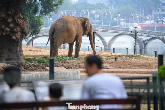 Hồ Thủ Lệ rộng 6 ha và đền Voi Phục là trung tâm cảnh quan. Khu vực ven hồ được cải tạo sinh thái, bổ sung cây thủy sinh, thêm điểm ngắm cảnh và thay đổi kết cấu kè.