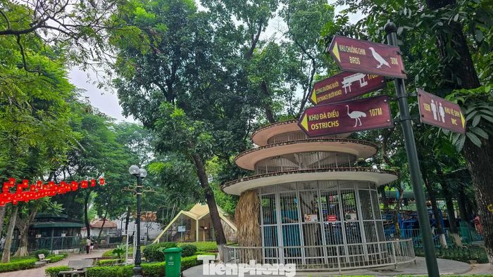 Việc đầu tư dự kiến chia thành hai giai đoạn, trước mắt ưu tiên hạ tầng kỹ thuật, hồ nước, chuồng trại, khu cách ly động vật và tiện ích thiết yếu. Các hạng mục giáo dục bảo tồn, vui chơi, quảng trường, dịch vụ và cảnh quan sẽ được triển khai ở giai đoạn sau.