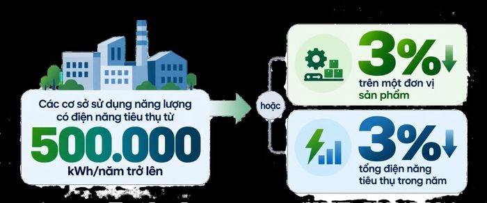 Các cơ sở sử dụng năng lượng có điện năng tiêu thụ từ 500.000 kWh/năm trở lên phải tiết kiệm ít nhất 3% điện năng tiêu thụ trên một đơn vị sản phẩm hoặc ít nhất 3% tổng điện năng tiêu thụ trong năm.