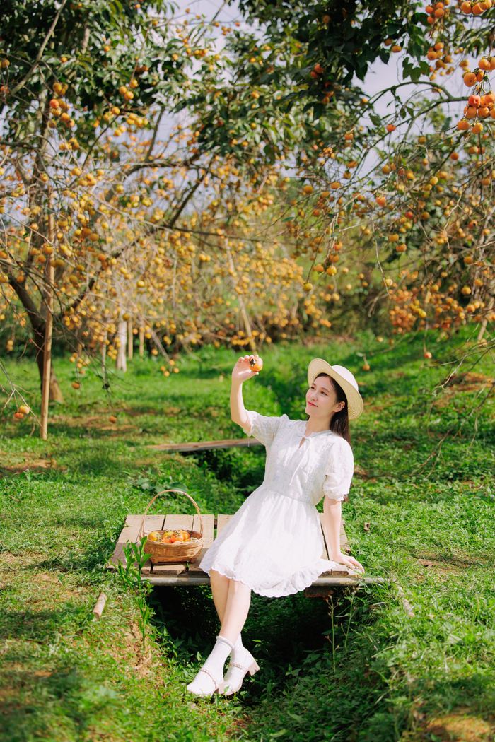 Vườn hồng chín rộ cách vườn hoa mận không quá xa cũng là địa điểm được gợi ý nên ghé thăm ở Mộc Châu mùa thu