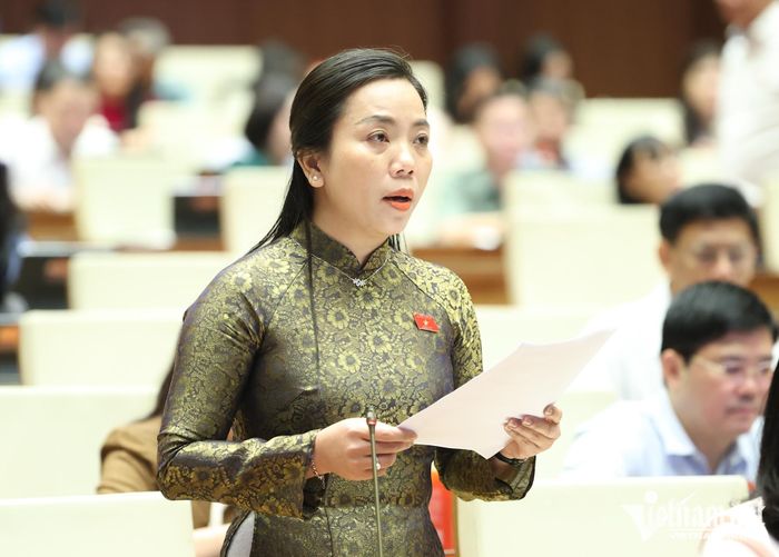 Đại biểu Triệu Thị Ngọc Diễm