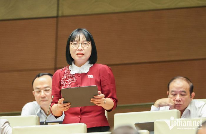 Đại biểu Nguyễn Thị Việt Nga