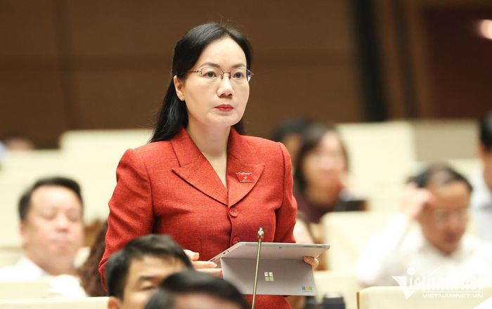 Đại biểu Đỗ Thị Việt Hà