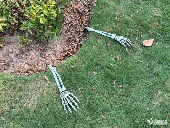 Những đoạn xương giả được đặt rải rác trong tiểu cảnh Halloween