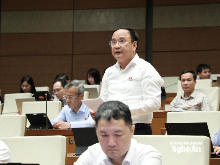 Đại biểu Trần Đức Thuận - Đoàn ĐBQH tỉnh Nghệ An phát biểu thảo luận tại hội trường. Ảnh: Việt Anh