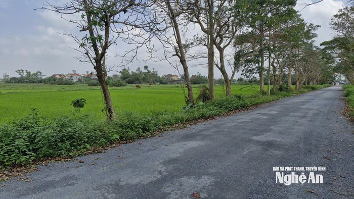 Khu đất quy hoạch thực hiện dự án Khu thể thao và đô thị sinh thái phức hợp của Công ty CP Golf biển Cửa Lò tiếp giáp đường Hoàng Phan Thái, phường Vinh Phú. Ảnh: Nhật Lân