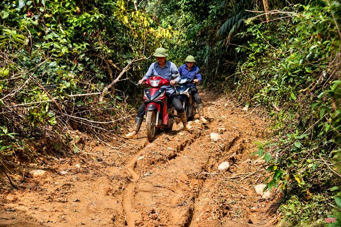 Trên địa bàn toàn tỉnh, hạ tầng lâm sinh còn thiếu và chưa đồng bộ, làm tăng chi phí sản xuất, ảnh hưởng đến hiệu quả phát triển kinh tế lâm nghiệp.