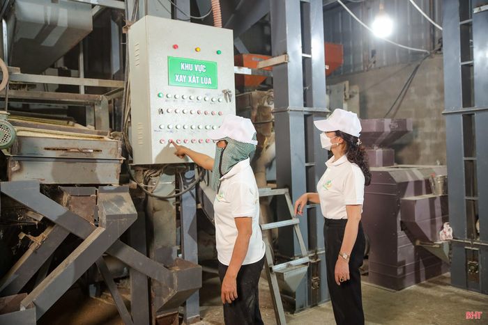 Toàn tỉnh có 502 HTX hoạt động trong lĩnh vực nông nghiệp, chiếm 54% HTX toàn tỉnh.