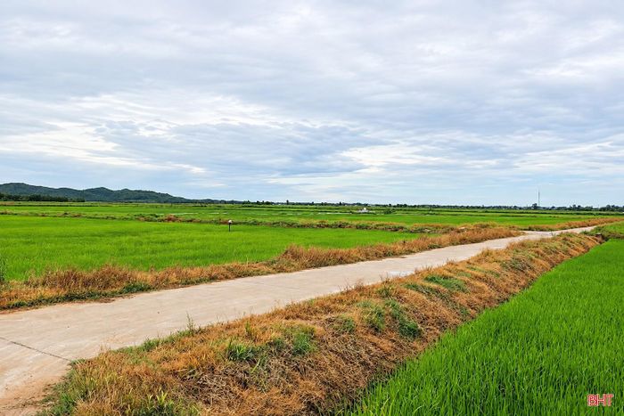 Mỗi năm, đồng ruộng Hà Tĩnh vẫn phải “gánh” gần 200 trăm tấn thuốc bảo vệ thực vật hóa học; năm 2025, toàn tỉnh ghi nhận khoảng 100 ha diện tích bờ ruộng, bờ mương bị phun thuốc trừ cỏ không chọn lọc.