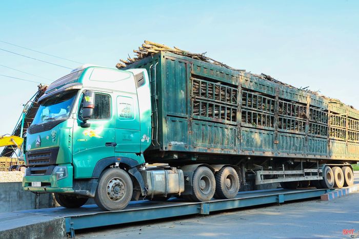 Công ty TNHH MTV VBE Hà Tĩnh (xã Sơn Tây) vẫn gặp khó khăn trong mở rộng vùng nguyên liệu do diện tích rừng trồng phân tán, nguồn cung thiếu ổn định, một số hộ dân chưa tuân thủ quy trình kỹ thuật, khai thác rừng sớm, làm hạn chế khả năng nâng cao giá trị rừng trồng.