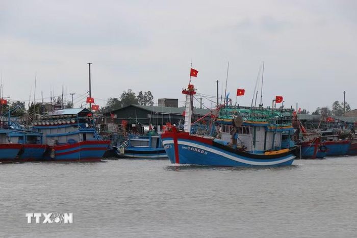 Tàu đánh cá của ngư dân Quảng Ngãi. (Ảnh: Phạm Cường/TTXVN)