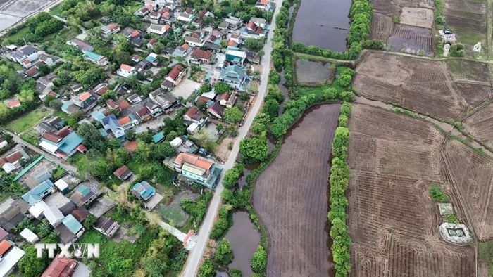 Giữa những đổi thay của cuộc sống, những hàng lộc vừng ở Siêu Quần vẫn được gìn giữ qua nhiều thế hệ. (Ảnh: Mai Trang/TTXVN)